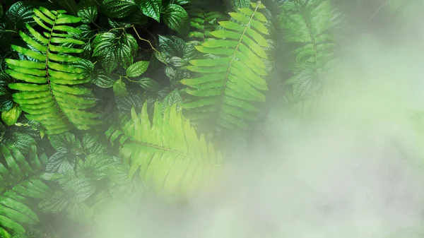 霧と雨と熱帯の緑の葉と垂直庭園 — ストック写真