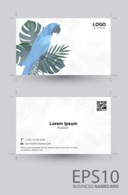 Amerika papağanı kuş ve tropikal yaprak yeşil namecard desen arka plan.