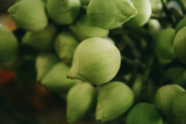 Yeşil lotus tomurcuğu gümüş bir tepsiye yerleştirilir.