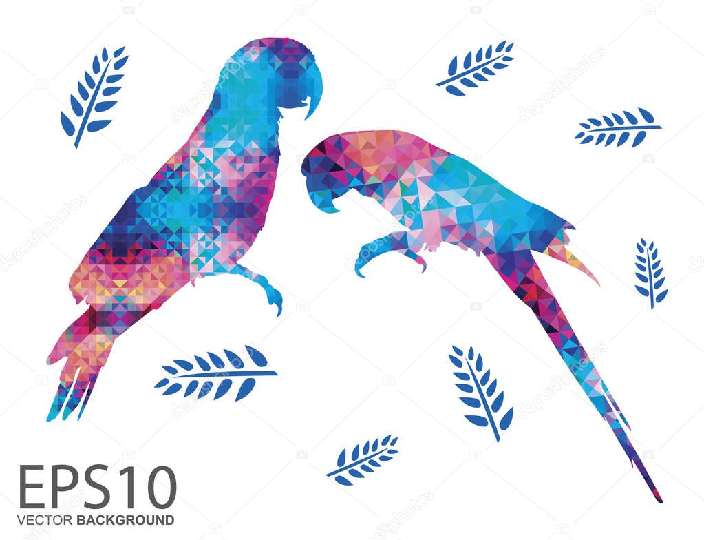 Colorful Macaw bird and tropical leaf pattern background.