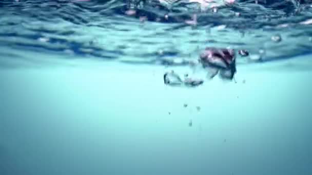 Pure blue water with waves and bulbs rising to the surface. Geyser. Close-up — Stock Video