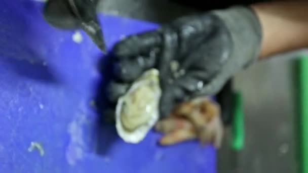 Chef, cuisinier ouvre avec un couteau moules crues fraîches, huîtres. Vidéo verticale. Gros plan . — Video