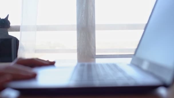 Un homme, dans un environnement de travail à domicile, ouvre un ordinateur pour le travail. Clé haute. Surexposition. — Video
