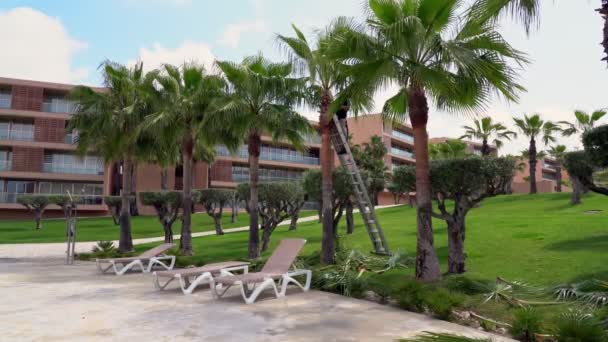 Jardineiros, os trabalhadores do hotel cortaram ramos velhos de palmeiras. Cuidar da limpeza e ecologia do meio ambiente . — Vídeo de Stock