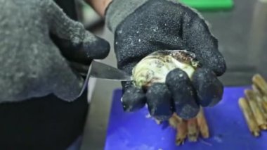 Şef, aşçı bıçak, taze çiğ midye ve istiridye ile açılır. Yatay video. Yakın plan..