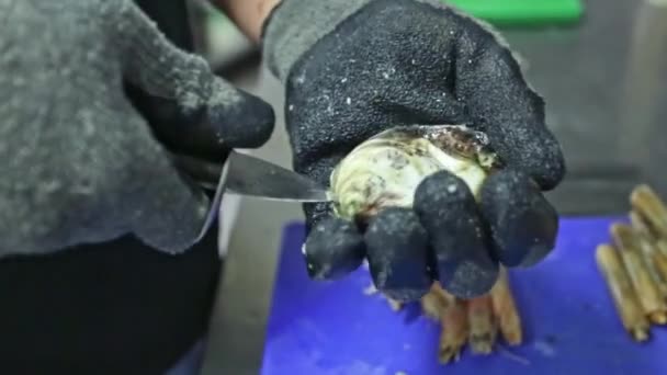 Chef, el cocinero abre con un cuchillo mejillones frescos crudos, ostras. Vídeo horizontal. Primer plano . — Vídeo de stock