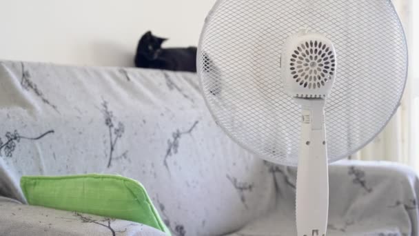 Binnenventilator in de kamer om de temperatuur te verlagen. Close-up. — Stockvideo