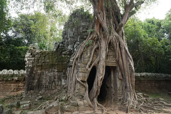 Templo de Ta Som — Foto de Stock