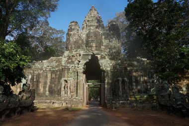 ta prohm Tapınağı