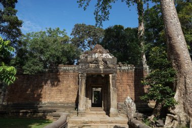 ta prohm Tapınağı