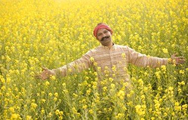 Kolza tohumu alanında uzanmış kolları olan çiftçi