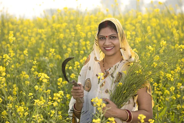 필드에서 유채를 수확 하는 농촌 인도 여자 — 스톡 사진