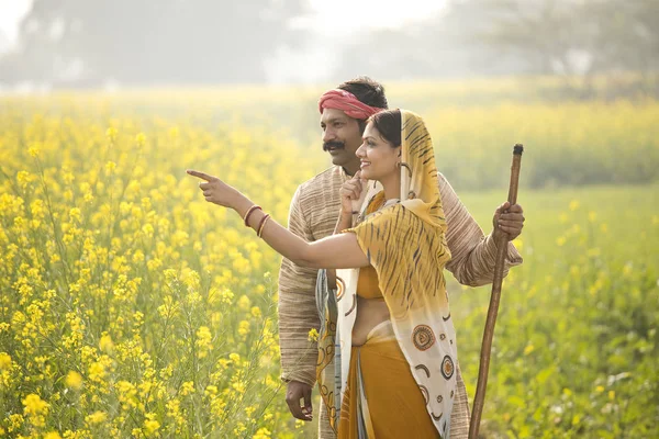 站在油菜籽领域的印度农村夫妇 — 图库照片