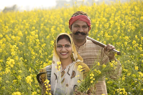 在农业领域务农的印度农村夫妇 — 图库照片