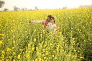 Kolza tohumu alan kırsal çift ayakta