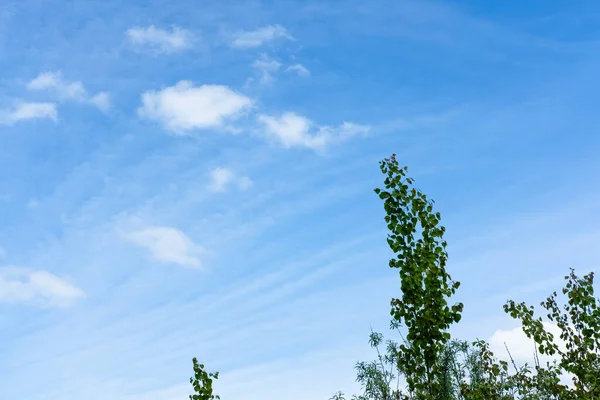 Gökyüzündeki güzel desenler