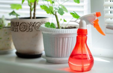 Çiçekler için parlak sprey tabanca