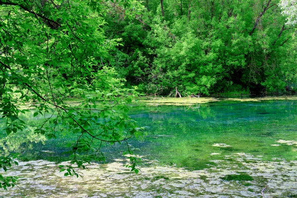 Μπλε Λίμνη Στο Δάσος Όμορφο Τοπίο Μια Λίμνη — Φωτογραφία Αρχείου