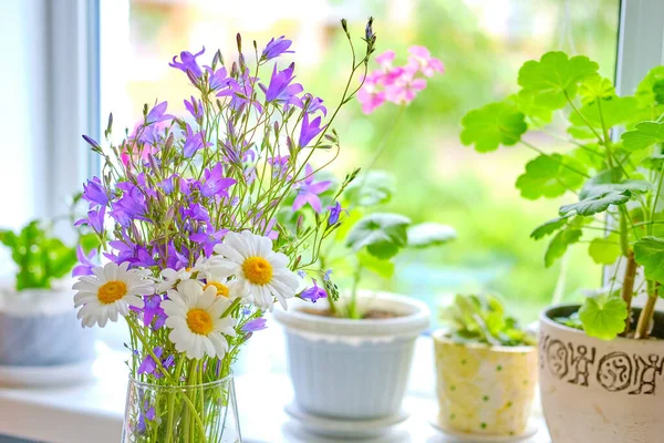 Spring Flowers Pot Table Windowsill Flowers Bell Lobster Vase — Stock Photo, Image