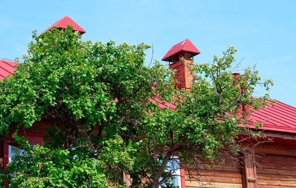 house in the woods. roofs of the house among the trees. Chimney on the roof