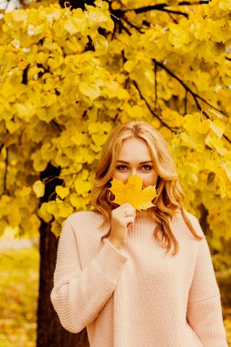 Sonbahar çarşaflı kız. Akçaağaç yaprağı elinde. Ağaçtaki sarı yapraklar