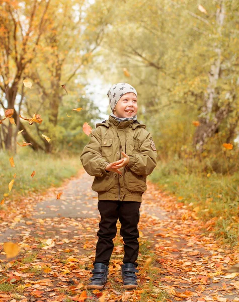 Маленький Хлопчик Осінньому Парку Літаюче Листя Лісі — стокове фото