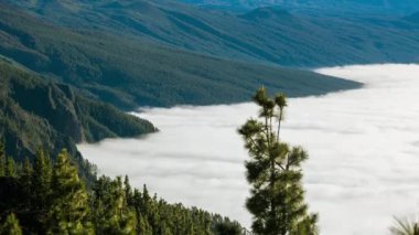 Bulutlar dağlar volkan Teide Tenerife, Kanarya Adaları İspanya hareketli Timelapse