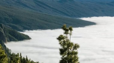 Bulutlar dağlar volkan Teide Tenerife, Kanarya Adaları İspanya hareketli Timelapse