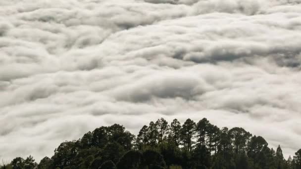 Timelapse van een wolken die bewegen in de bergen vulkaan Teide op Tenerife, Canarischeeilanden Spanje — Stockvideo