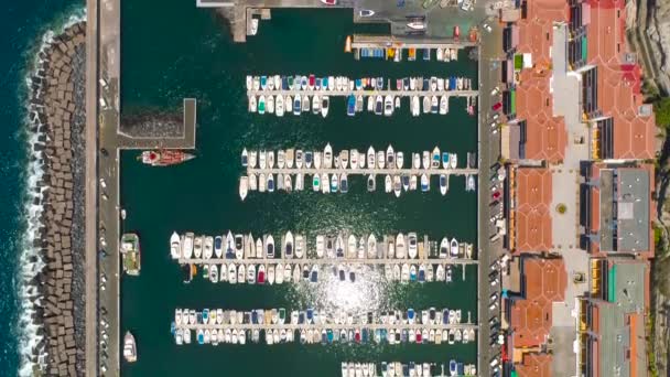Luftaufnahme Moderner Segel Motorboote Yachten Yachthafen Direkt Meer Los Gigantes — Stockvideo
