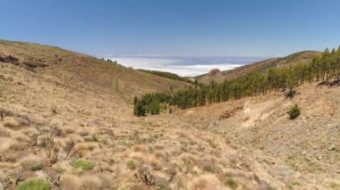 Havadan görünümü Teide Milli Parkı, dağlar ve sertleştirilmiş lav üzerinde uçuş. Tenerife, Kanarya Adaları