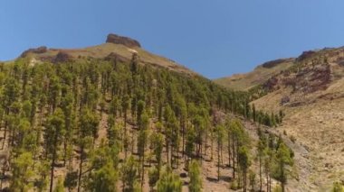 Havadan görünümü Teide Milli Parkı, dağlar ve sertleştirilmiş lav üzerinde uçuş. Tenerife, Kanarya Adaları