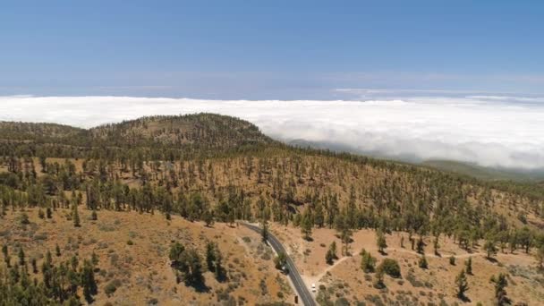 Flygfoto Teide National Park Flyg Över Bergen Och Härdad Lava — Stockvideo