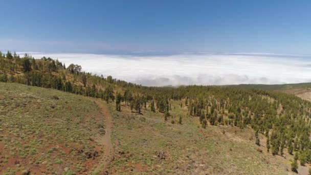 Havadan Görünümü Teide Milli Parkı Dağlar Sertleştirilmiş Lav Üzerinde Uçuş — Stok video