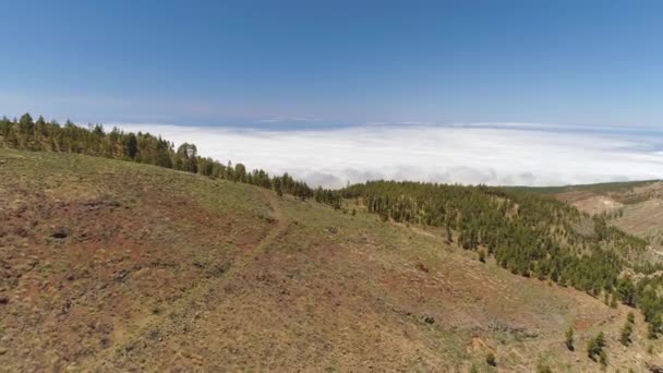 Havadan Görünümü Teide Milli Parkı Dağlar Sertleştirilmiş Lav Üzerinde Uçuş — Stok video