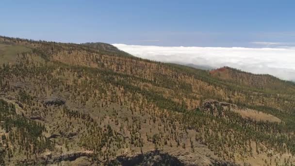 Luftaufnahme Des Teide Nationalparks Flug Über Die Berge Und Gehärtete — Stockvideo