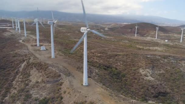 Flygfoto Från Höjden Väderkvarnar Teneriffa Kanarieöarna Spanien Drone Sköt Wild — Stockvideo