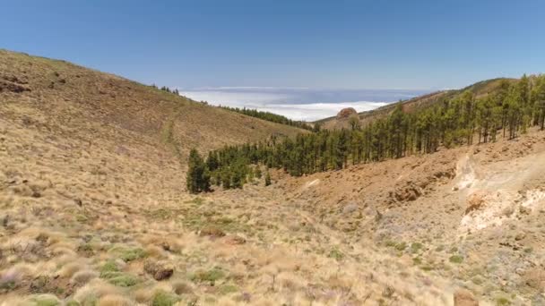 Εναέρια Άποψη Του Εθνικού Πάρκου Teide Πτήση Πάνω Από Βουνά — Αρχείο Βίντεο