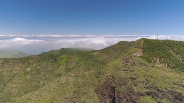 西班牙加那利群岛 Tede 附近特内里费岛上岩石和悬崖山脉的鸟图 — 图库视频影像