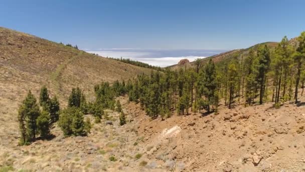 Havadan Görünümü Teide Milli Parkı Dağlar Sertleştirilmiş Lav Üzerinde Uçuş — Stok video