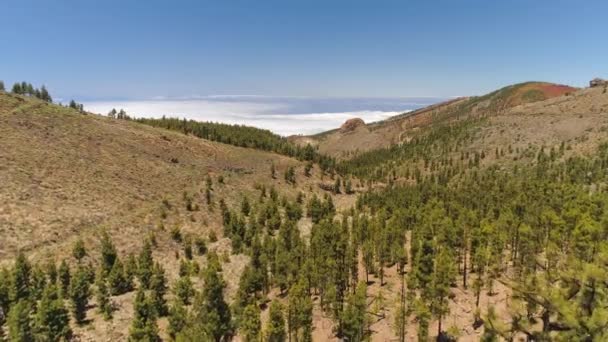 Aerial View Teide National Park Flight Mountains Hardened Lava Tenerife — Stock Video