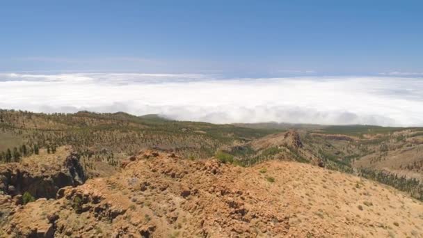 Teide 国家公园的鸟瞰图 飞越山脉和硬化的熔岩 特内里费岛 加那利群岛 — 图库视频影像