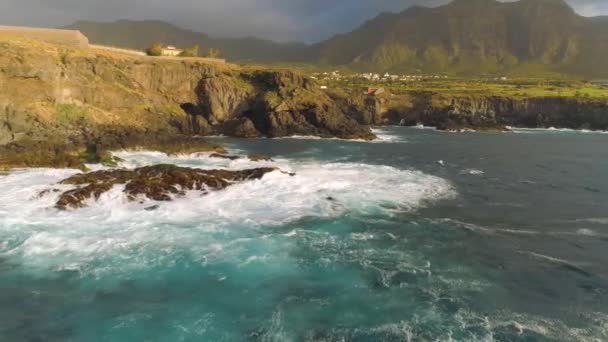 特内里费岛悬崖和大西洋的鸟图 无人机从西班牙加那利群岛上方拍摄了4K — 图库视频影像