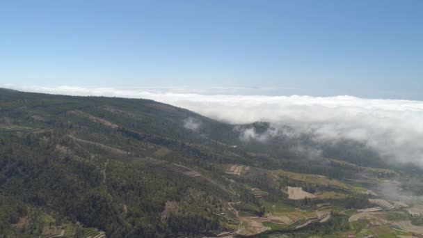 Vista Aérea Pequeña Ciudad Tenerife Vuelo Sobre Las Nubes Día — Vídeos de Stock