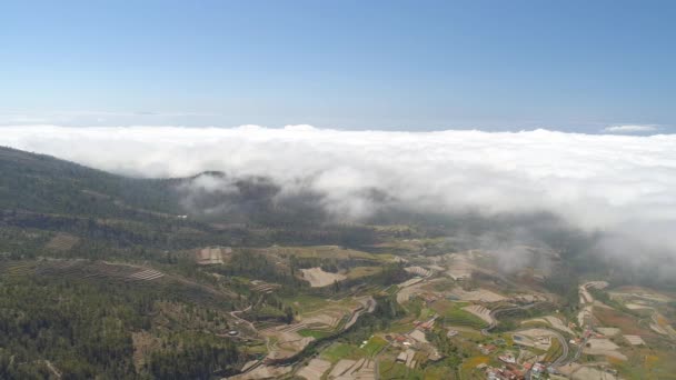 Vista Aérea Pequeña Ciudad Tenerife Vuelo Sobre Las Nubes Día — Vídeos de Stock