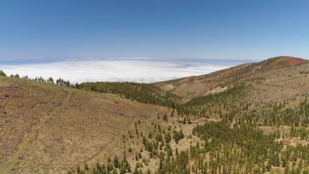 Flygfoto Teide National Park Flyg Över Bergen Och Härdad Lava — Stockvideo