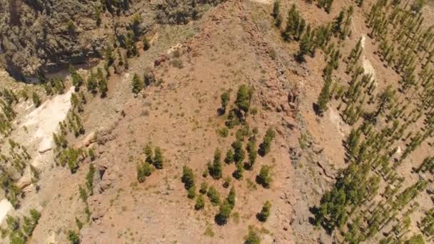 Letecký Pohled Národní Park Teide Letu Nad Horami Lávou Tenerife — Stock video