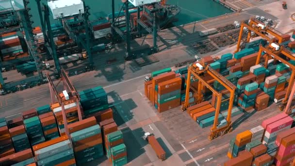 Hong Kong May 2018 Aerial View Modern Port Container Terminal — Stock Video