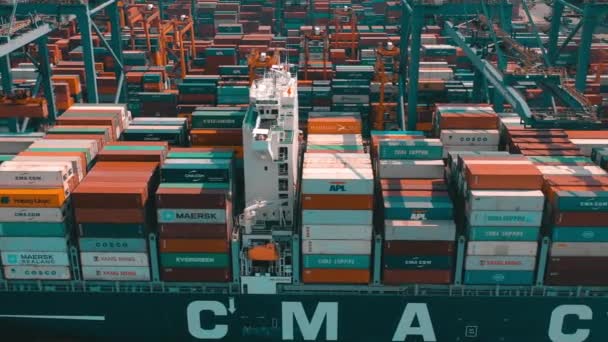 2018 近代的な港コンテナ ターミナルの眺め インポートおよびエクスポート ロジスティック ビジネス 港湾クレーンと大型船 — ストック動画