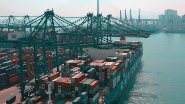 Hong Kong Mai 2018 Luftaufnahme Eines Modernen Hafencontainerterminals Import Und — Stockvideo